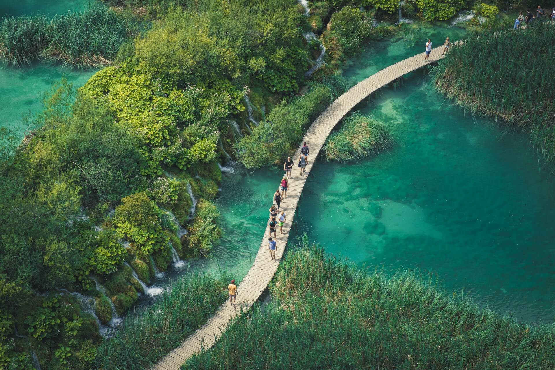 Aerial view of a wooden boardwalk winding through a nature reserve, reflecting our commitment to low-impact sustainable travel