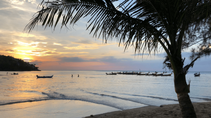 A shady palm tree and some longtail boats at sunset in Kamala Beach Phuket Thailand