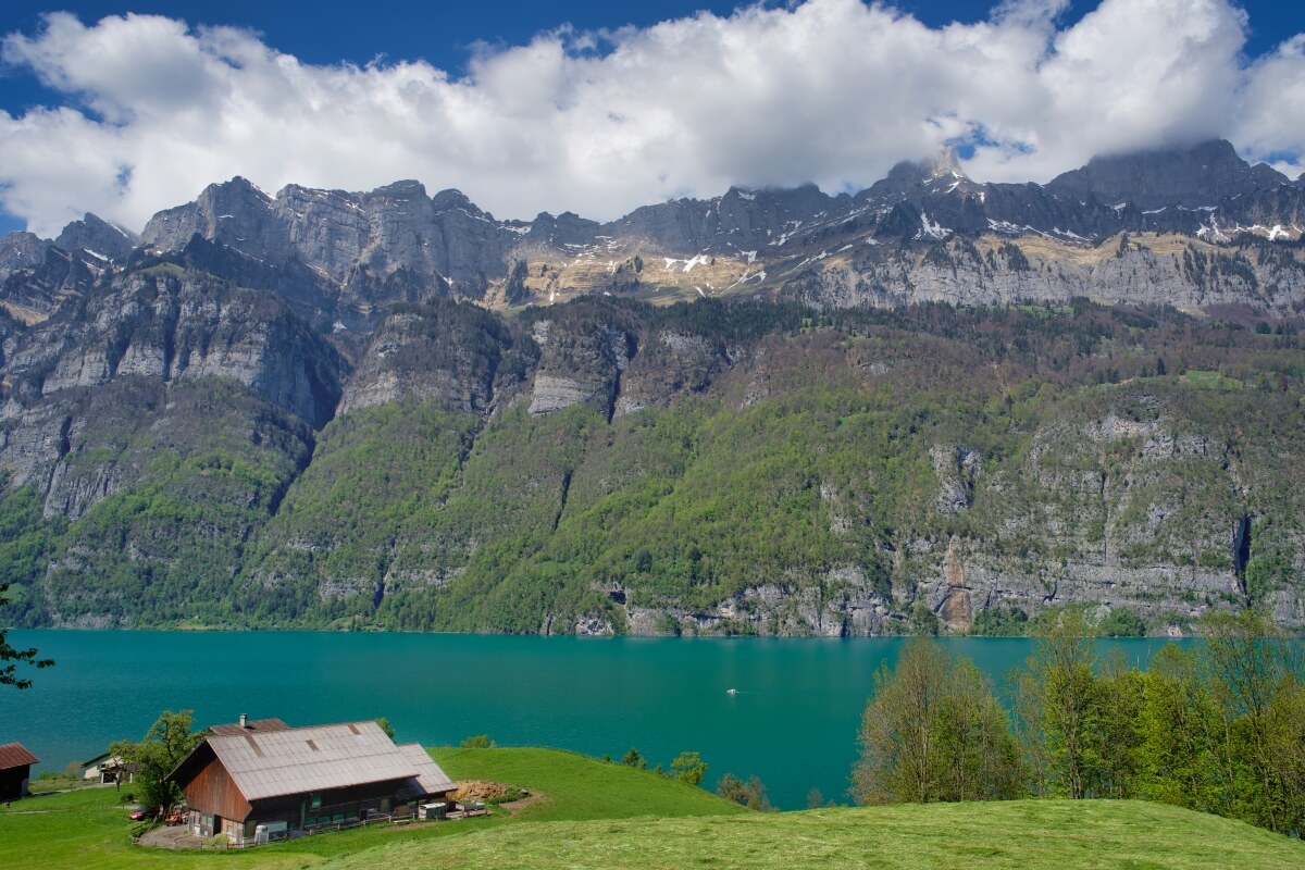 Swiss alps family trip